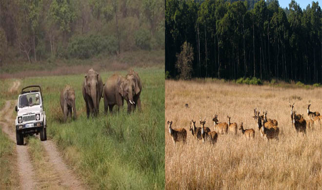 jim corbett